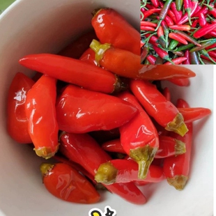 全州土辣椒 酸辣椒可制泡椒薄皮青红辣椒肉厚中辣