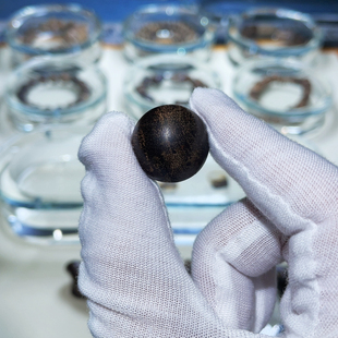 文莱黑棋沉香单珠沉水级2.0cm