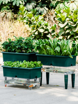 室内阳台种菜专用盆长方形自吸水懒人种花种蔬菜箱草莓特大号塑料