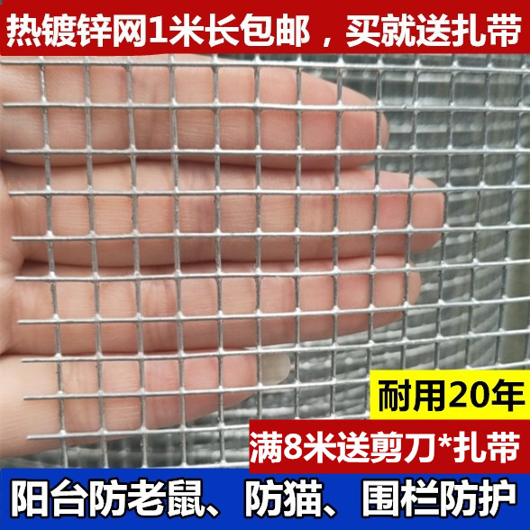 铁丝网防老鼠阳台防坠网热镀锌铁丝网窗户防鼠钢丝网格防猫养鸡网