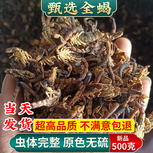 沂蒙十足全干全蝎中药材全蝎无盐清水蝎子全虫蝎子包邮干度可打粉