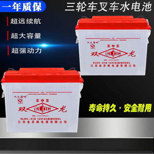 双龙铅酸蓄电池12v电动载重三轮车工程车电叉车水电瓶228型318型 - 封面