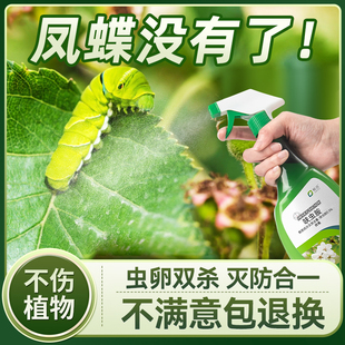 柑橘凤蝶幼虫杀虫剂天堂凤蝶蛹专用药蝴蝶毛毛虫克星花椒驱虫神器