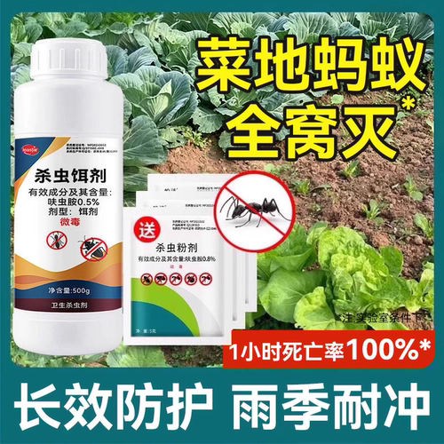 【菜地专用】蚂蚁连环灭！