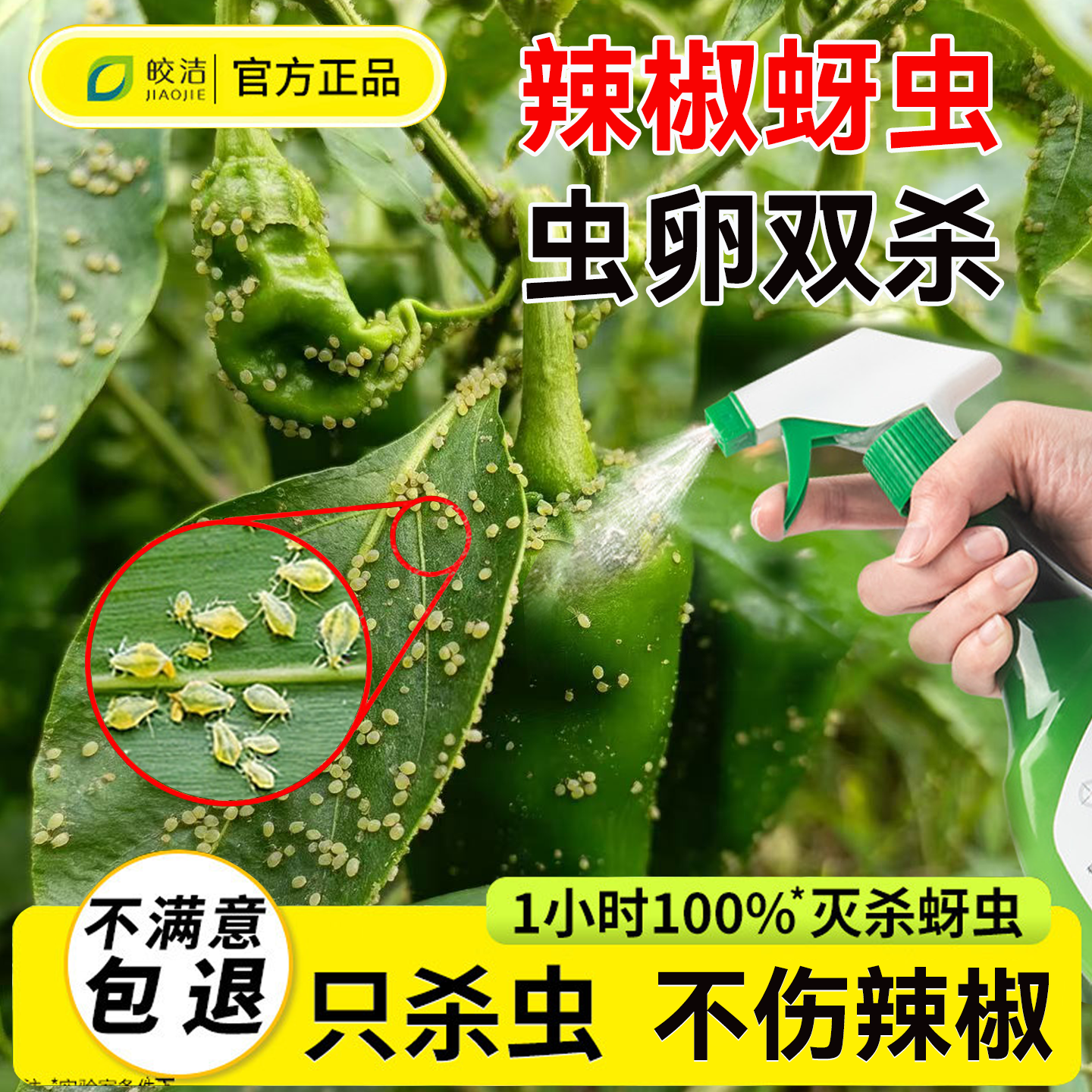 辣椒蚜虫杀虫剂蔬菜苗专用药灭芽虫腻虫黑牙虫打虫药菜园驱虫农药