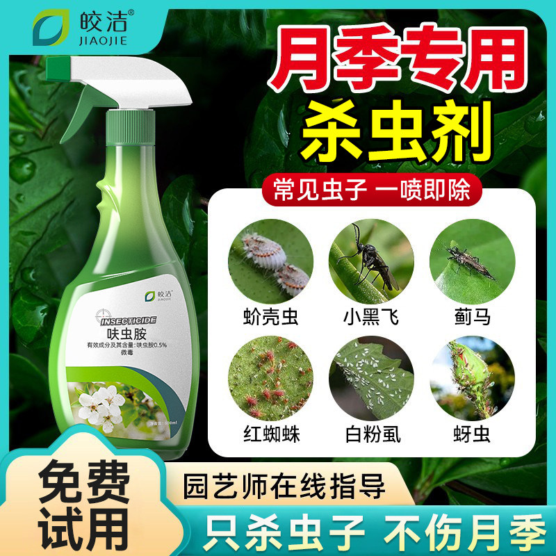 杀虫剂爆款！月季花病虫害常用药图片