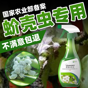 蚧壳虫专用杀虫剂多肉介壳虫杀虫剂疥虫兰花植物花卉除虫药非特效
