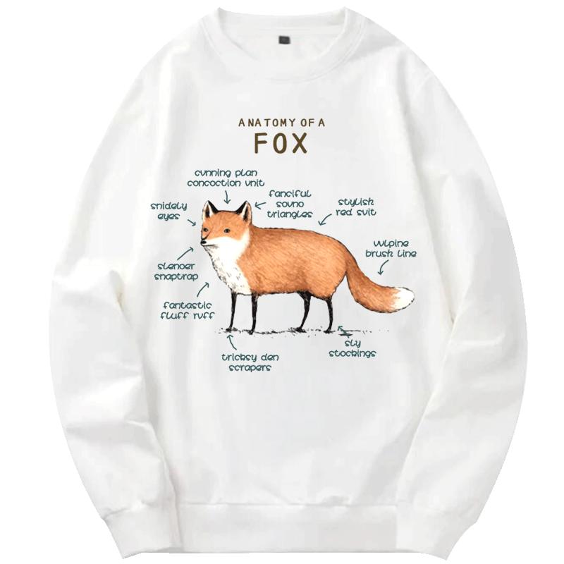 狐狸刺猬松鼠荷兰猪柯基犬外套