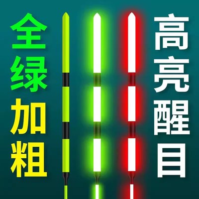 日夜两用夜光漂咬钩变色加粗醒目电子漂夜钓鱼漂鲫鱼鲢鳙大物浮漂