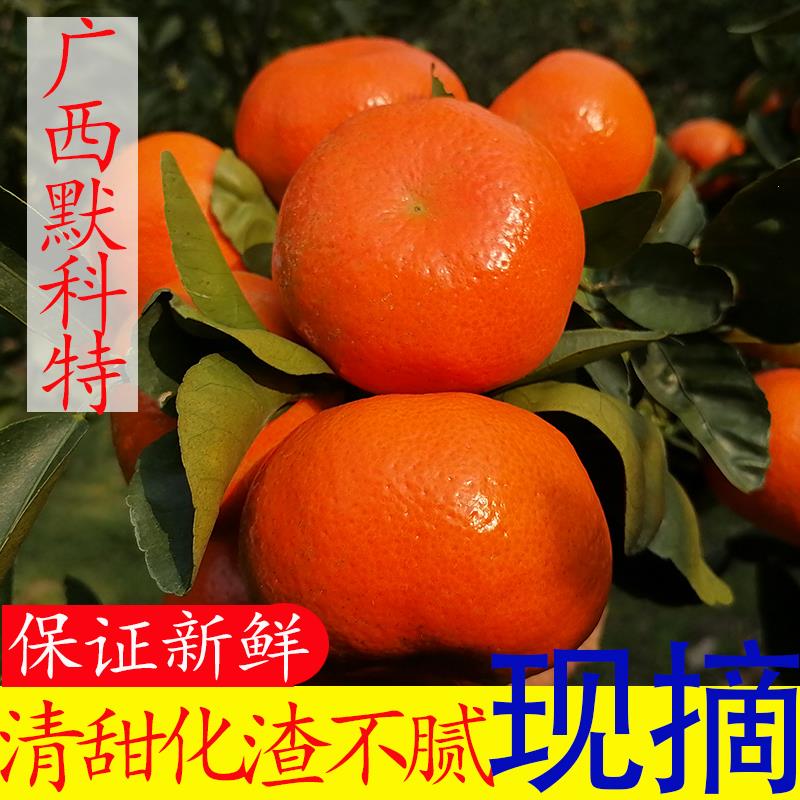 广西桂林默科特柑10斤水果新鲜当季整箱蜜桔三月红沃柑红橘大果5