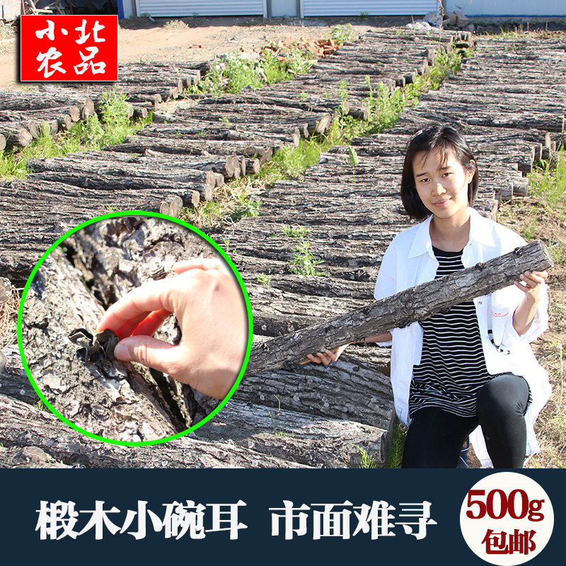 лõ ¶«±±Ìزú³¤°×ɽ Õý×ÚÇïºÚľ¶úСÍë¶úÈâºñÎÞ¸ù¸É»õ500g°üÓÊ