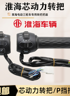 淮海电动三轮车转把一体调速把油门开关芯动力P挡喇叭开关左把座