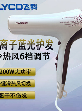 飞科FH6272/6102吹风机负离子护发吹风筒家用发廊大功率速干6273