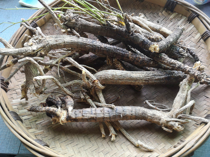 贵州中草药野生岩防风 中药材岩川芎关防风棕包头农产品干货500克