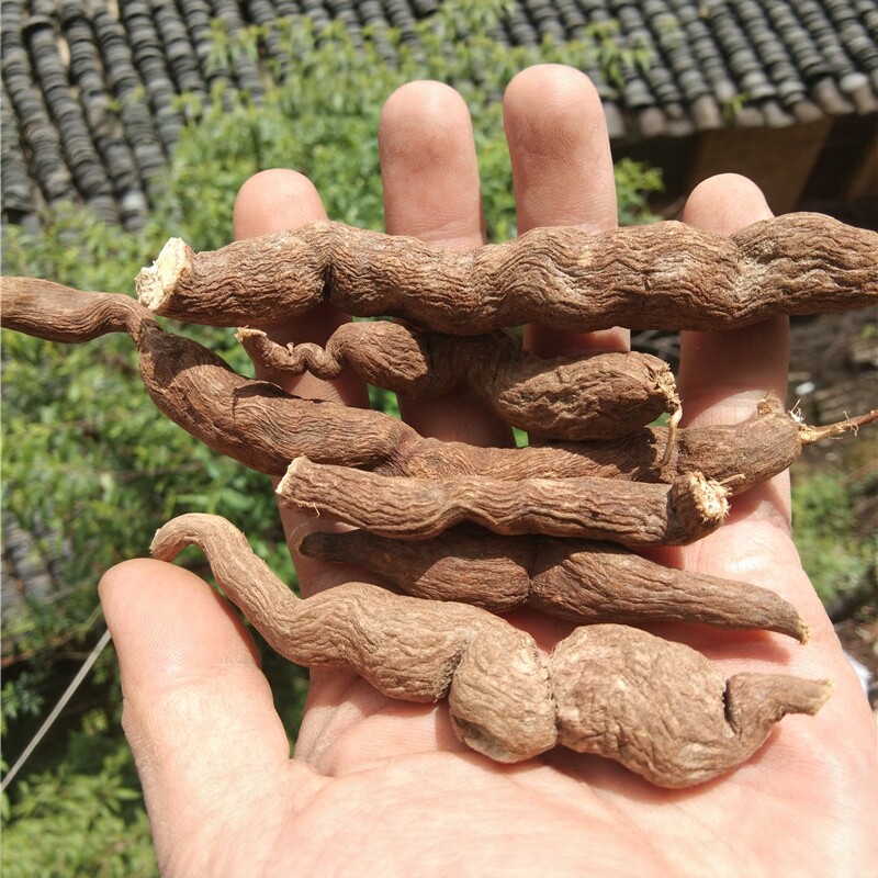 地产雪里开中草药干货地雷 贵州拐子药中药材单叶铁线莲膨大个子