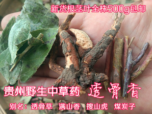 贵州中药材滇白珠全株透骨香 中草药满山香搜山虎九木香500g 包邮