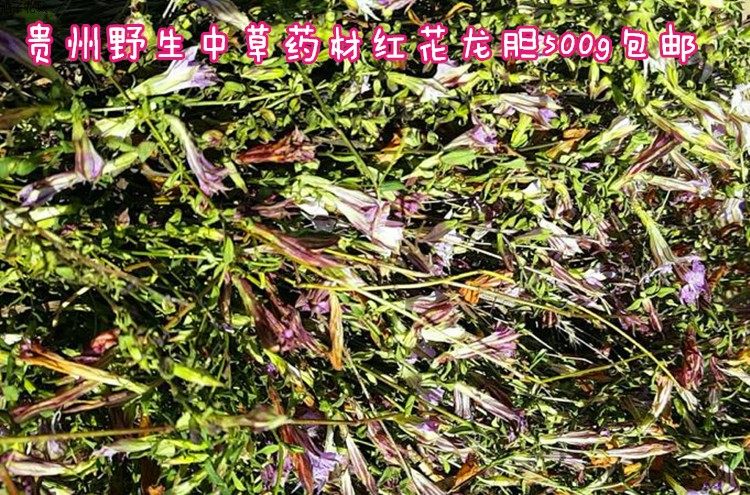 贵州中草药材特产红花龙胆草500g 野生红龙胆小青鱼胆星秀花 包邮