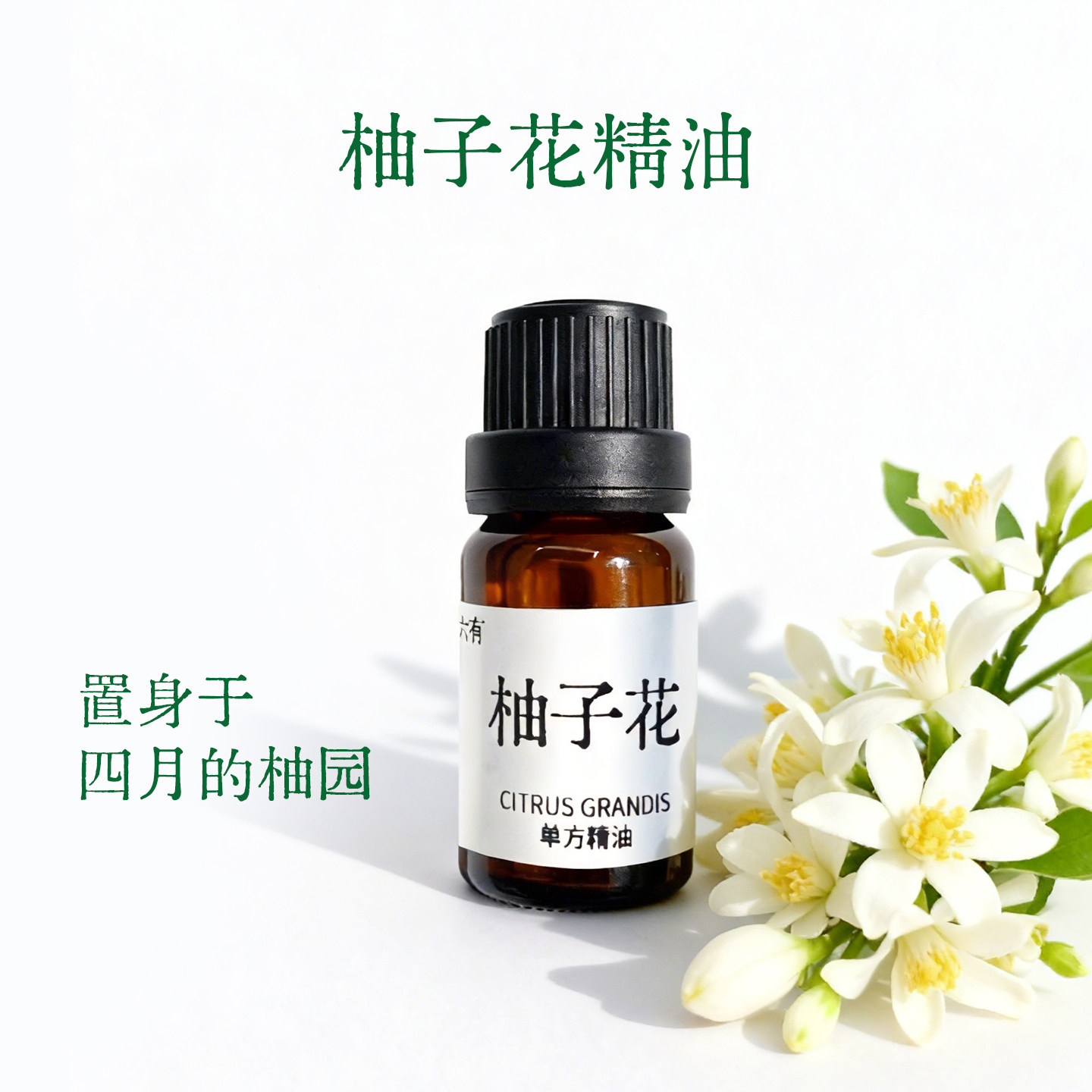 【柚树的春】柚子花 单方精油  溶剂萃取 春天味道 纯精油无添加