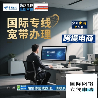 国际专线跨境电商电信sdwan网络直播宽带入驻专用网络搭建送教程