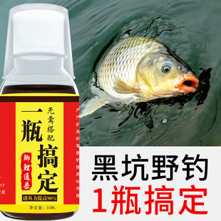 一瓶搞定钓鱼小药鲫鲤鱼黑坑水库野钓通杀鱼饵诱鱼鲢鳙罗非添加剂