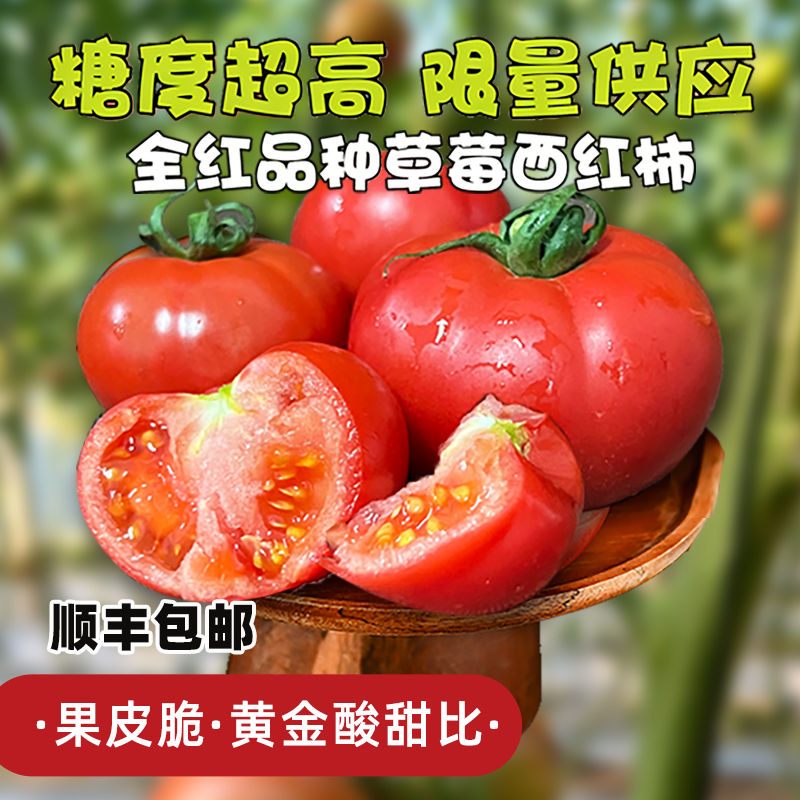 草莓味西红柿特级高品质自然熟新鲜生吃正宗水果柿子全红番茄孕妇,水产肉类/新鲜蔬果/熟食,番茄,淘宝优惠券,粉丝福利购,淘宝优惠卷
