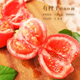 蜂果家熊蜂授粉西红柿新鲜自然熟水果番茄生吃老味道无激素粉柿