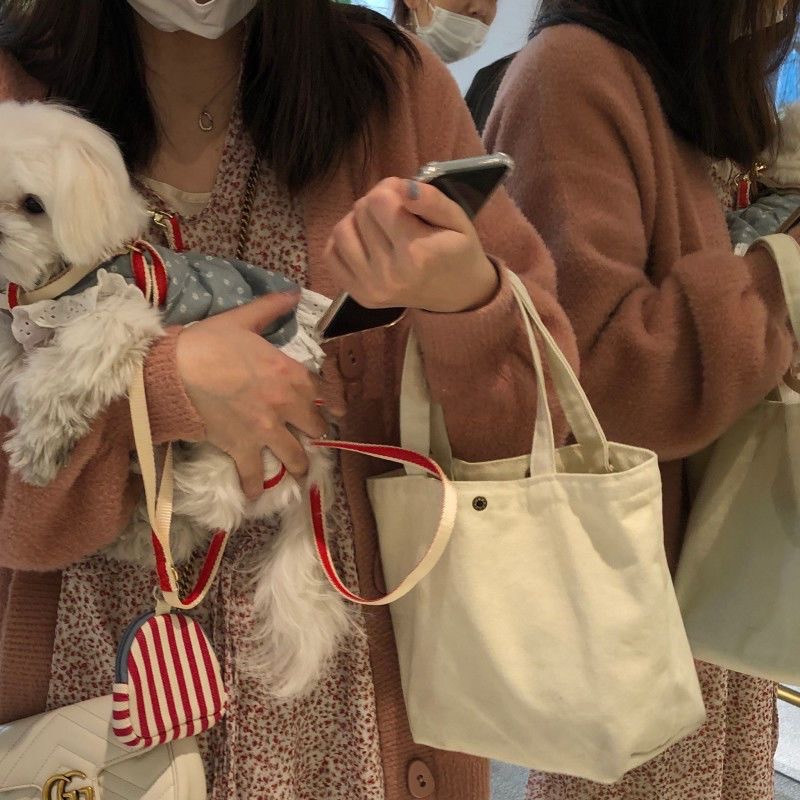 2024新款款帆布包少女心便捷迷你