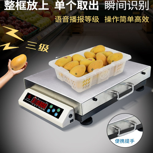 果蔬语音播报智能分级秤