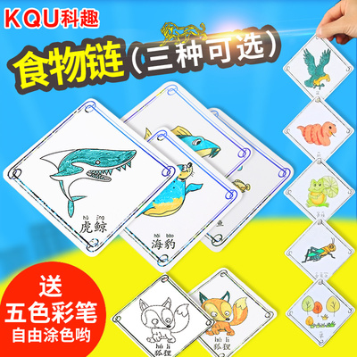 diy生物食物链科趣科学制作