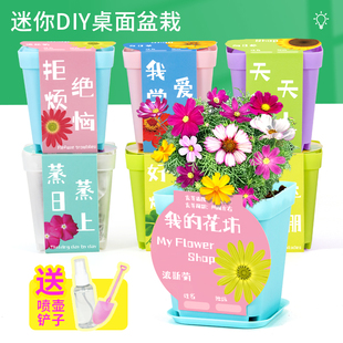 科技小制作种子发芽stem创客教育材料包diy种植植物手工课堂作业