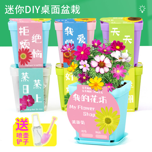 科技小制作种子发芽创客教育课堂
