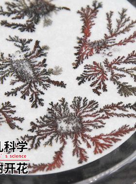 科趣化学实验铁物质分解科学实验