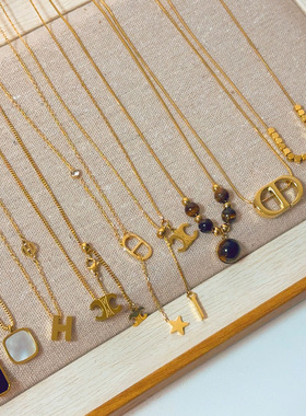 通勤时尚小众设计感钛钢项链女气质轻奢高级感真金电镀百搭锁骨链