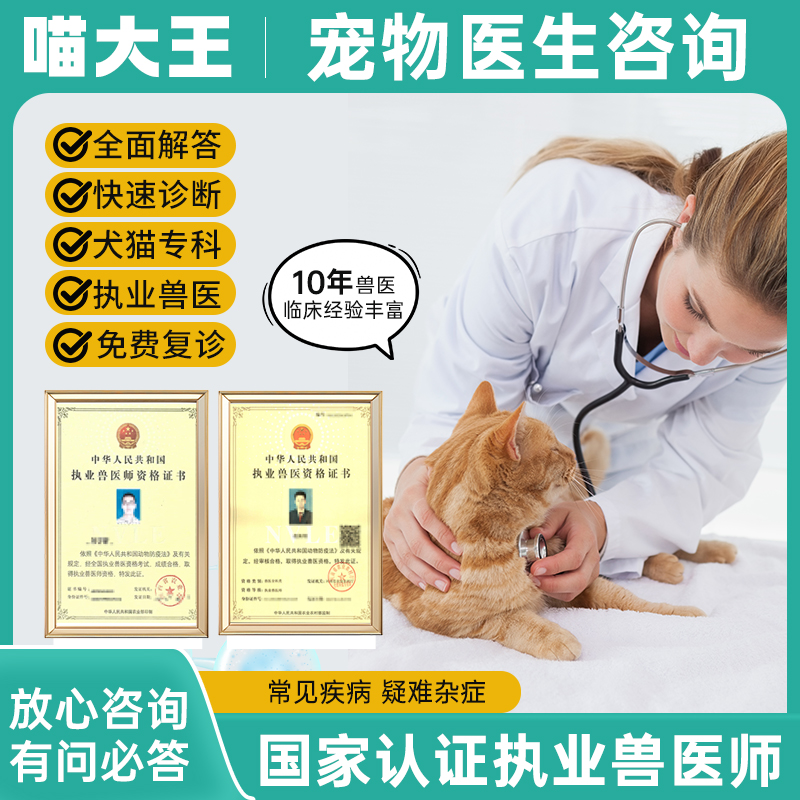 猫狗健康疑问全解答！在线宠物医生坐诊，淘宝专属诊疗好物福利购