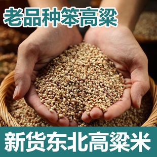 【老品种】东北粘糯白高粱米新米去皮红糯高粱米酿酒五谷杂粮5斤