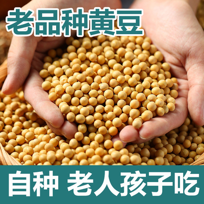 东北大豆2021新黄豆农家自种5斤