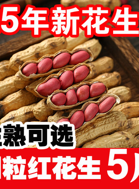 红皮花生带壳生花生带壳新鲜2025新货鲜红衣生花生米带壳晒干炒货