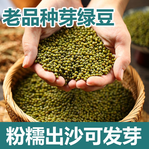 小孟绿豆可发豆芽5斤装