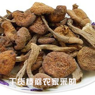 小孟 臻磨东北榛蘑长白山东北蘑菇特产榛蘑干货500g