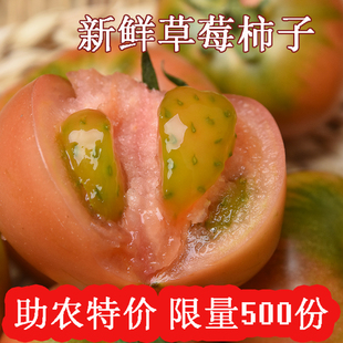 草莓柿子包邮丹东铁皮柿子绿腚柿子西红柿梅盘锦碱地柿子新鲜5斤