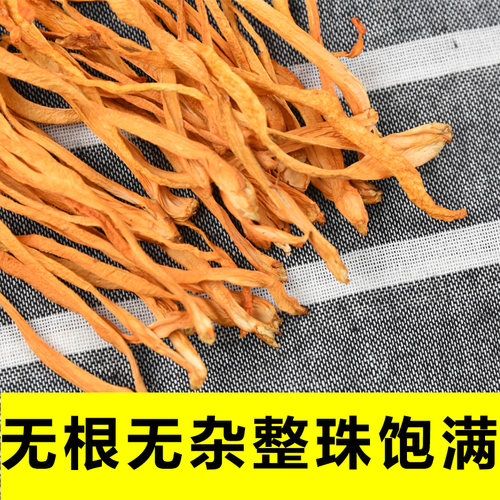 基地直发 金虫草花孢子头干货煲汤新鲜北蛹虫草花