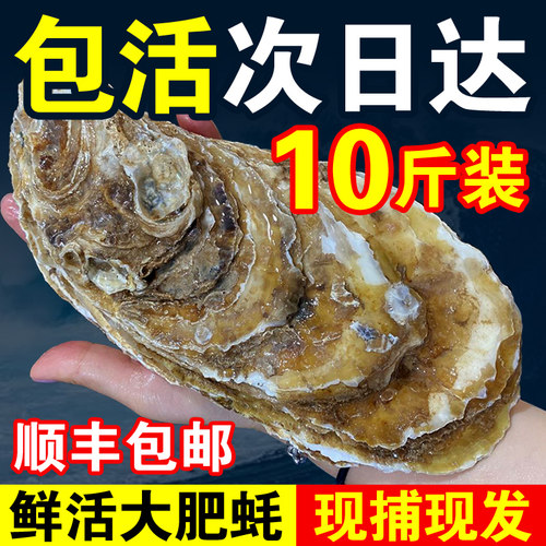 现捕现发 顺丰冷链 包活次日达