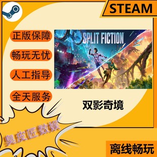 Fiction Split Steam离线游戏 双影奇境