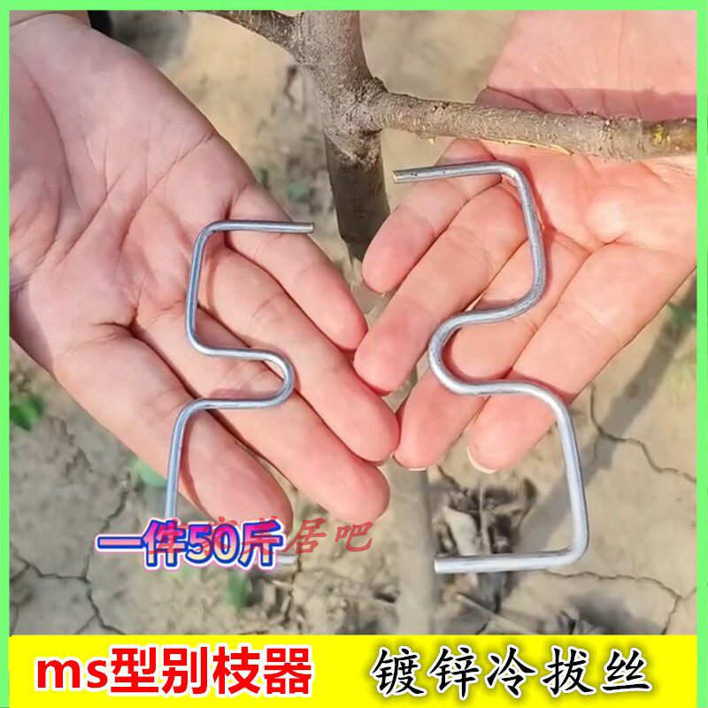 m别枝器果树拉枝定型器梨树樱桃树苹果树开角器主干型s弯枝压枝器