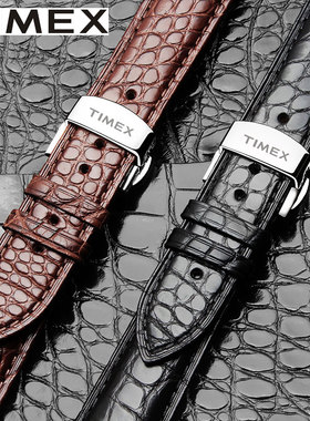 天美时TIMEX皮表带男鳄鱼皮蝴蝶扣T49905/T2N794皮表带20mm黑色