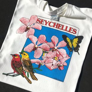 短袖 美丽 纯美式 复古印花Y2K小众怀旧风格 T恤 Seychelles美式