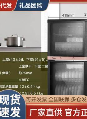 适用立式家用厨房消毒碗柜小型碗筷餐具MXV-ZLP100XC66-R消毒柜