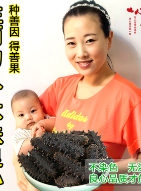 【高品质天花板】大连心意家深海淡干辽剌参50g野生干货海生海渗