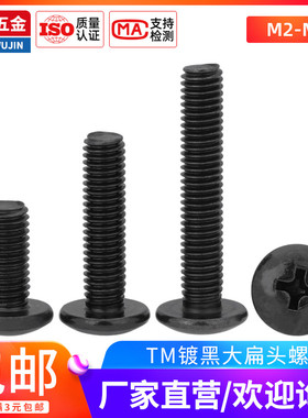 碳钢铁镀黑色大扁头十字机丝 大蘑菇头TM伞头大帽螺钉M2M2.5M3-M6