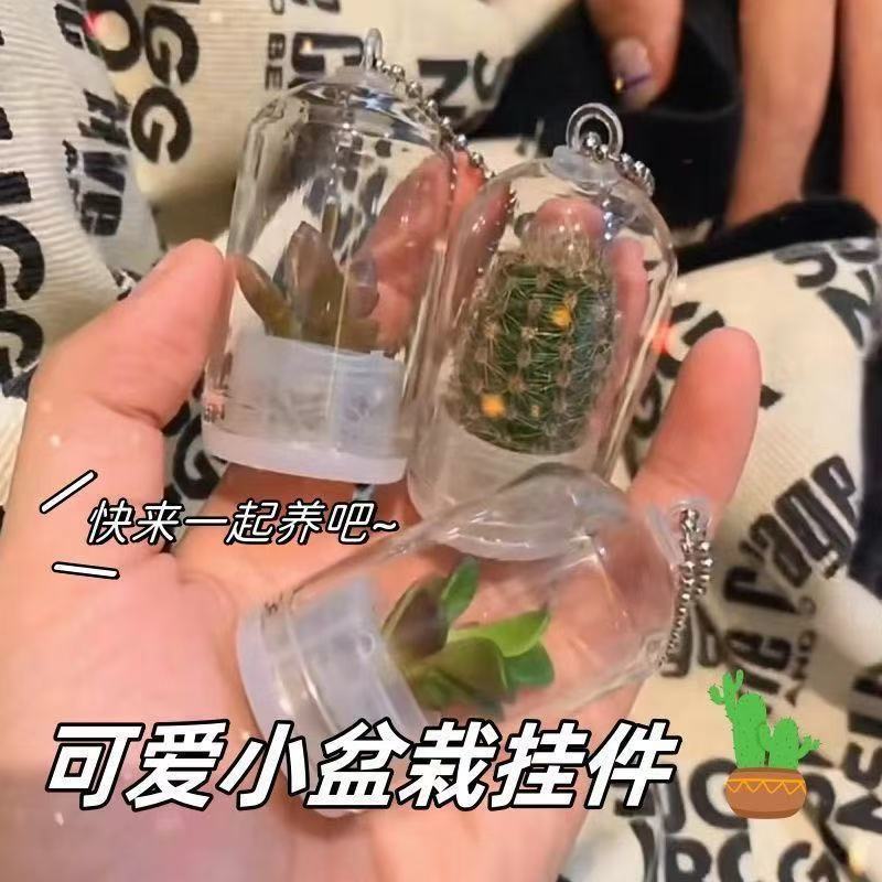 多肉超萌挂件钥匙扣微缩景观创意礼物迷你盆栽迷你小盆栽透明可爱